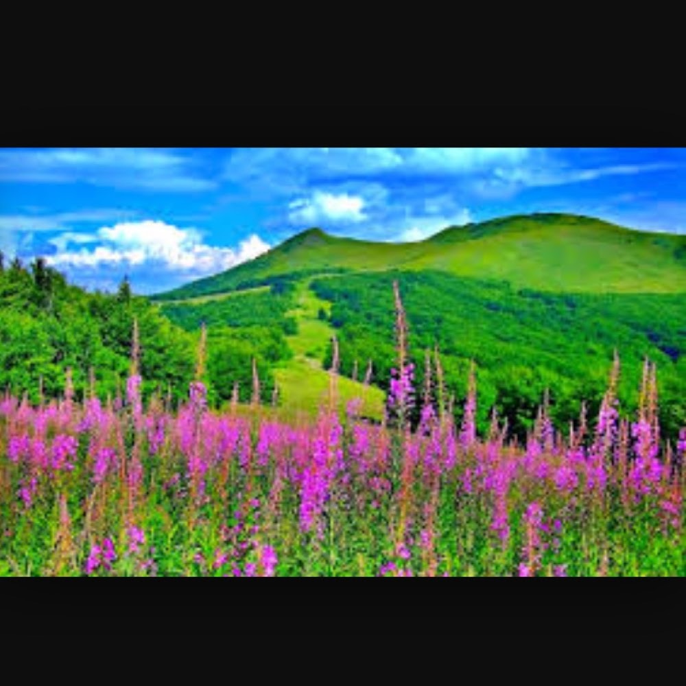 Meet your Posher, Wanderlust1071